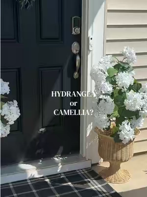 need a little help, which one would you choose to leave out? #hydrangeas#camellia#tiktokshopfinds#outdoordecor 