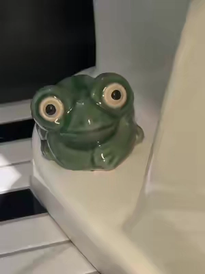 Favorite little bathroom buddies 🤭 🐸 