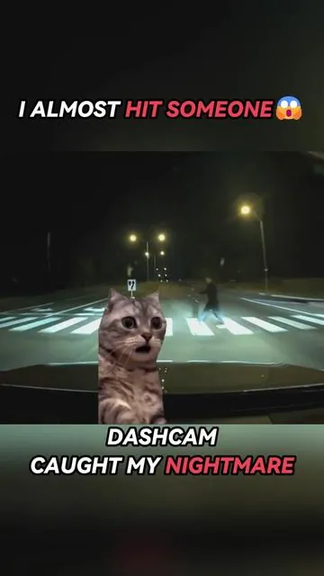 This Is Why I Bought a Dash Cam. #redtiger #redtigerdashcam #dashcam #car #dashcamfootage 