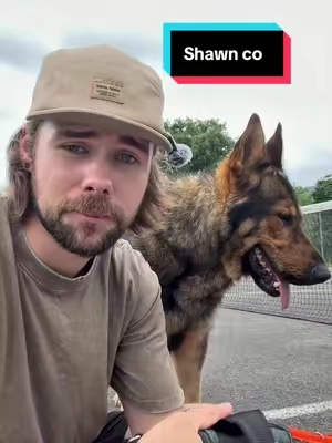 He hasn’t pulled since 🤷‍♂️ #dog #dogharness 