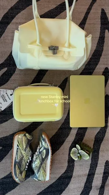 I love the new mini lunchbox from @Stanley 1913 🤍 it comes in several colors! #tiktokshop #backtoschoolshopping #stanley 