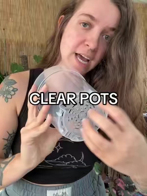 plant girlies they’re back!!! #houseplants #rareplants #plantcare #plantmom 