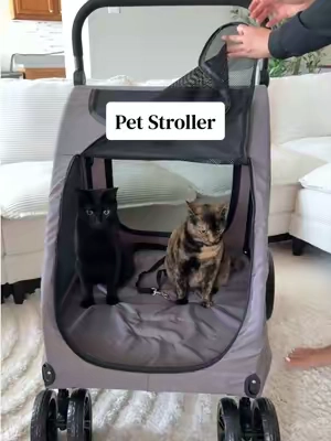 If you want to let your cats outside, but don’t want to let your cats outside, check out this stroller! #summerfinds #petstroller #cats #catstroller #dogstroller 