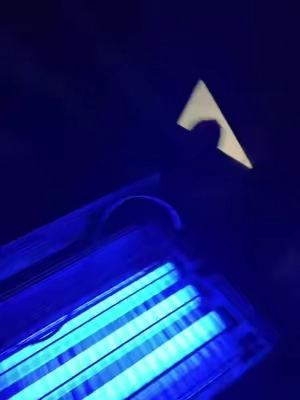 7661269199309835534