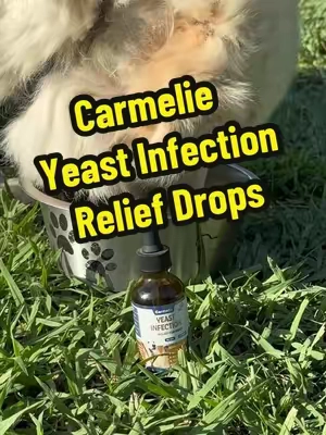 Yeast Infections Can Become a Serious Issue! Carmelie Dog Ear & Skin Relief Drops, Yeast Infection Treatment for Dogs #dogsupplements, #yeastinfection, #doghealth, #TikTokShopCreatorPicks, #TikTokShopSummerTurnUp 
