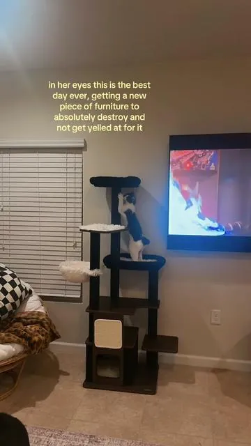 She loves her aesthetic lil tree ✨ #cattree #aesthetic #cattower #scratchingpost #catessentials 