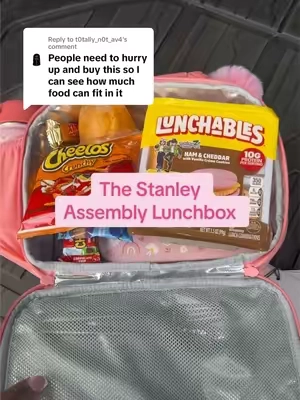 Replying to @t0tally_n0t_av4 #stanleylunchbox #stanleylunchbag #lunchbox #backtoschoolshopping #parentsoftiktok 