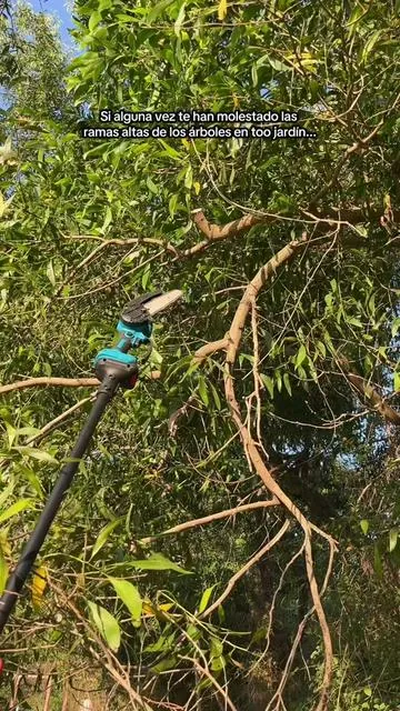 No es exagerado decir que esta es una herramienta esencial para cualquier entusiasta de la jardinería.#chainsaw #gardening #diyproject  #sierra #herramientadejardín