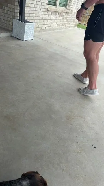 They’re like boujee socks