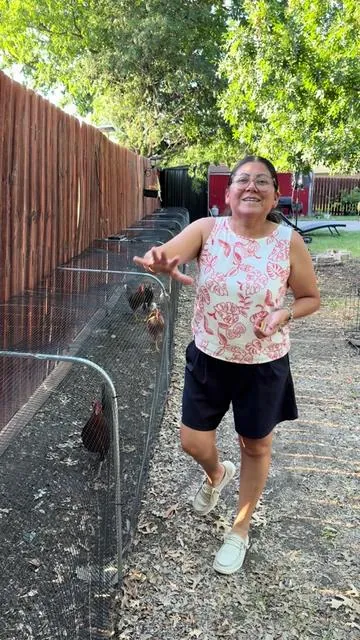 Las gallinas y su gallinero #chicken #gallinas #granja #home #tiktokshopcreatorpicks 