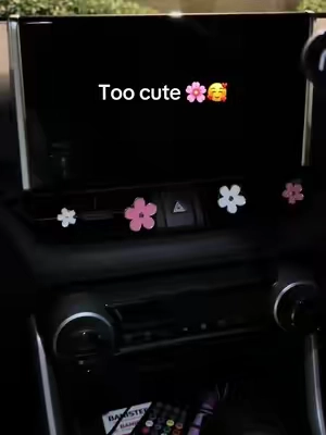#caracessories #carairfreshener 
