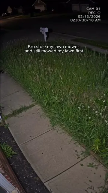 Should I call the police?🤷🏼‍♀️🚔#lawntrimmer #gardeningtools #lawncare #Seese #TikTokShop