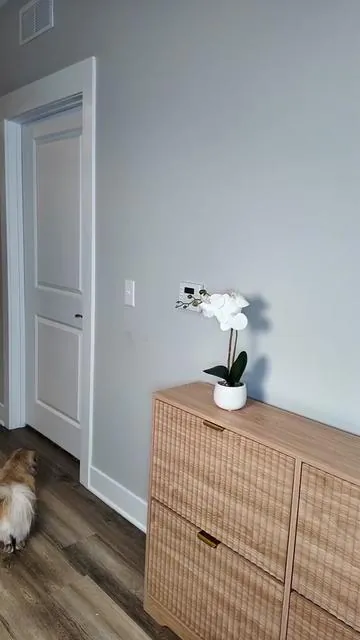 Desde que pusimos esta zapatera en la entrada, la casa se mantiene mucho más organizada.  Tiene cuatro compartimentos abatibles, un diseño elegante que parece un mueble decorativo y no ocupa mucho espacio.  Si estabas buscando una zapatera bonita y funcional, esta te va a encantar. #Zapatera #OrganizaciónDelHogar #HomeFinds #HomeOrganization #zapatos 