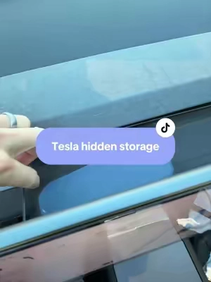 Now my Tesla is complete #teslatok #teslaassessories #yonzee #teslacar #tiktokshopcreatorpicks 