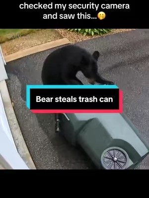 So…a bear stole my trash can 🥲 #eufy #caughtoncamera #securitycamera #bear #funny 