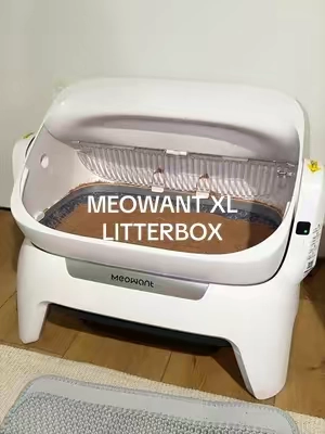 Maine Coon cat owners there is finally a litter box that will fit your cat! #tiktokshopsummersale #automaticlitterbox #largelitterbox #mainecooncats #selfcleaninglitterbox 