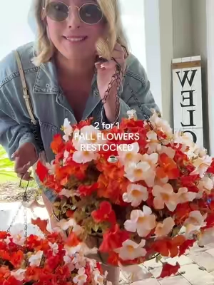 The most adorable flowers for the fall🍂 #fall #falldealsforyou 