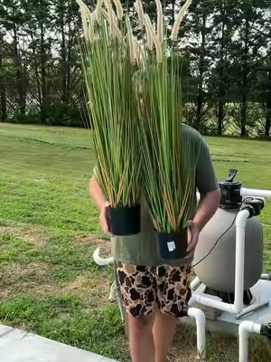 Some of the most realistic looking and feeling artificial grass #artificialgrass #artificialplants #outdoorartificialplants #horsetailreedgrass #tiktokshopcreatorpicks @VEVOR Outdoor Store 