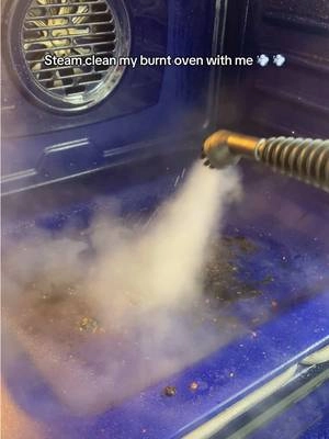 An annoying task made easy with this steam cleaner. Best part it’s chemical free!! @Phueut-Official #steamcleaning #steamcleaner #steam #steamclean #TikTokCreatorSearchInsightsIncentive 