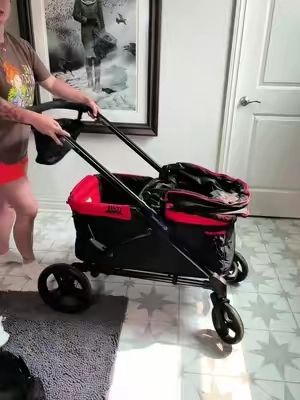 Thank you to the mom who introduced me to the stroller wagon #Wagon #StrollerWagon #ToddlerEssentials #zooday #TikTokShopCreatorPicks 