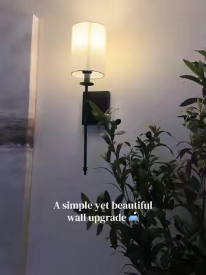 10 different color levels, rechargeable bulb, remote and timer?! I’m obsessed with this small yet beautiful home upgrade 😍💡 #walldecor #homedecor #walllamp #rechargeablelights #weeklydeals 