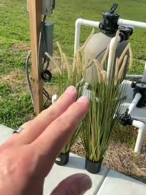 Artificial outdoor plants that actually look good #artificialplants #outdoorplants #horsetailreedgrass #reedgrass #tiktokshopcreatorpicks 