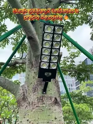 The boss went crazy… solar lights at cost price 🔥#solarlights #outdoorlights #yardlights   ld-0717-4-LDX