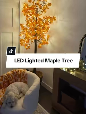 🍁 This lighted maple tree is the easiest way to make your home feel like fall. Warm white LED lights, gorgeous autumn leaves, and the perfect cozy glow for your entryway, living room, porch, or seasonal decor. If you’re decorating early this year, grab yours before the fall favorites start selling out! 🍂✨ #HalloweenDecor #SpookySeason #CozyHome #hoodink #tiktokshopsummersale 