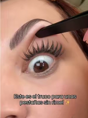 Si todavía sigues buscando un rímel que te deje las pestañas así… mejor mira estas pestañas autoadhesivas#lashcluster #BeautyTok #makeuphacks #pestañas #tiktokmademebuyit @CofierLashes-Kiki 