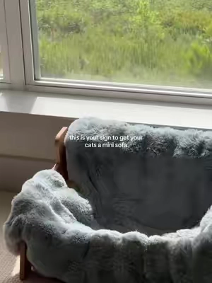 They love it🥹 #catlover #catsoftiktok 