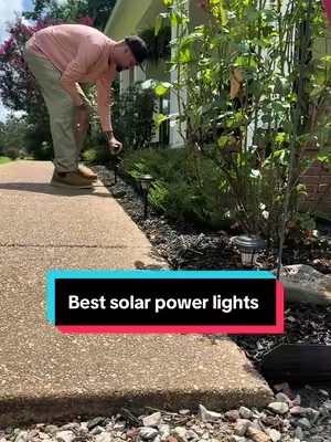 Solar powered pathway lights that actually last 🔥 #homeimprovement #diyhomedecor #gardenproject #flowerbed #foryoupage 