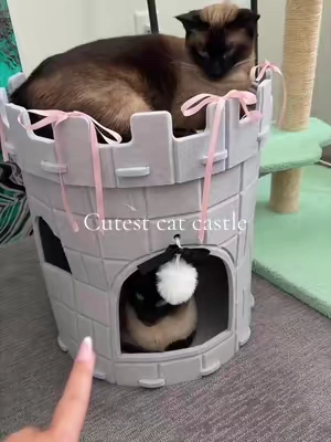 I think 15 lbs and under should be fine @Mellownido US #catcondo #catscratcher #catenrichment #cattoys 