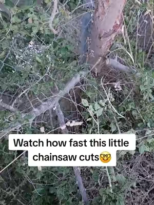 This is the ultimate one handed cordless chain saw. #DIY #landscaping #treecare #homestead #chainsaw 