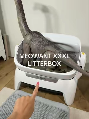 No weight limit and my cats are loving it #tiktokshopsummersale #largelitterbox #mainecooncats #mainecooncat #mainecoon  