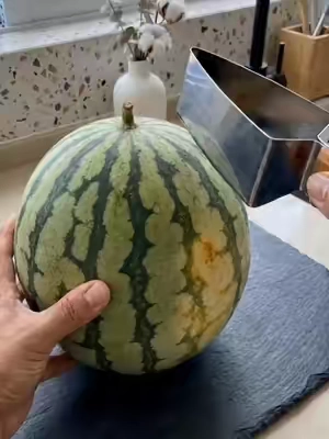 Watermelon slicer for the win!! Makes slicing watermelons, cantaloupe, honeydews so easy!! #summerwins #watermelonslicer #cantaloupe #watermelon #summertimevibes 