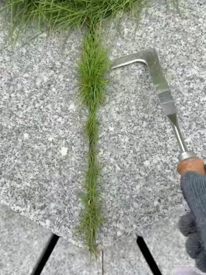 Do you still use butter knife,screwdriver and propane torch for this type grass in crevice? #crevicetool#magictools#drivewaycracksgrass#DealsforYouDays#summerwins