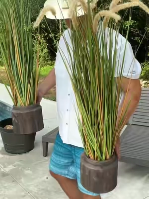 Very realistic artificial outdoor plants #artificialoutdoorplants #horsetailreed #outdoorplants #artificialplants #tiktokshopcreatorpicks 