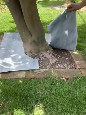 🌿 Archi Republic Strong Mulch Glue | A Cleaner, Better-Looking Yard Starts Here #MulchGlue #GardenLandscaping #LandscapeGlue #RockGarden #OutdoorDecor 