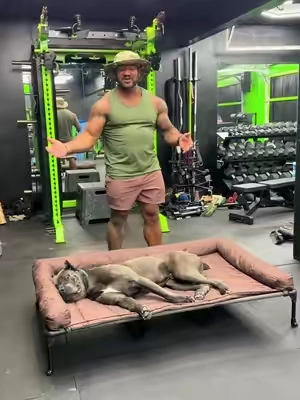 Get a bed your dog will love #doglover #dogbedswithstyle #canecorso #puppy #bigdog 