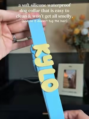I love this soft silicone waterproof dog collar. Not only is it a super cute collar for dogs but it is waterproof, silicone, easy to clean, and doesn’t get smelly like other dog collars!  #dogs 