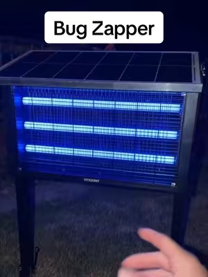 7664814495675583757