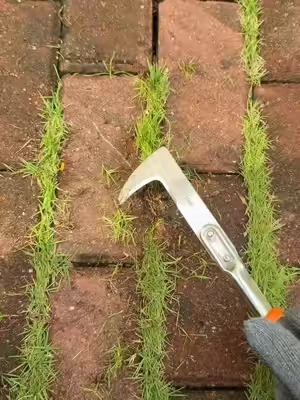 Do you still use butter knife,screwdriver and propane torch for this type grass in crevice? #crevicetool#magictools#drivewaycracksgrass#DealsforYouDays#summerwins