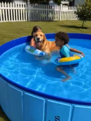 🍨Big Enough for Kids & Dogs🐶 24% OFF Today Only🚨👇 Turning our backyard into a mini water park💦🌊#dogpool #SummerDeals #outdoorplay #dogparents #kidsactivities