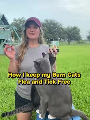 Protection in every bite 🐾🐈‍⬛ #fleas #ticks #fleaandtickprevention #catproducts #cats 