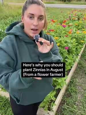 It’s not too late to plant zinnias!!! 