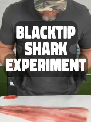 It's Shark Week, so we're throwing it back to one of my most interesting cooks yet. 🦈🔥 I cooked blacktip shark three different ways and learned a lot along the way. Some methods worked better than others, and one definitely surprised me. Now I've got a question for y'all... Which one would you pick, and what should I do differently next time? Drop your thoughts in the comments, and let's see if we can make the next shark experiment even better. Yum Yum Get Ya Sum! 🦈🔥