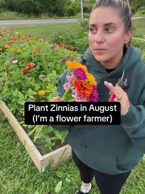 Plant zinnias in August!! 
