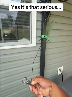 Gotta repel the wasps, flies, and mosquitoes away somehow! #dragonfly #fakedragonflyclip #wasps #flies #mosquitos 