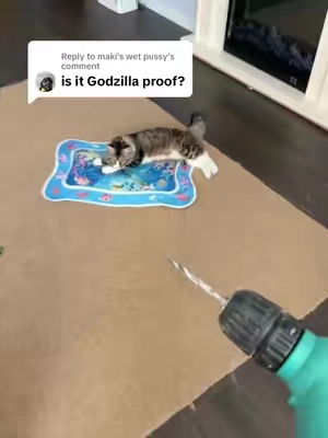 Replying to @maki's wet pussy Please help me contact Godzilla. Thank you.#catpick #cattoy #pettoys #toysforcats 