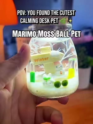 The cutest little calming desk pet 🌿 #deskdecor #desksetup #deskpet #marimomossball #calmingdecor 